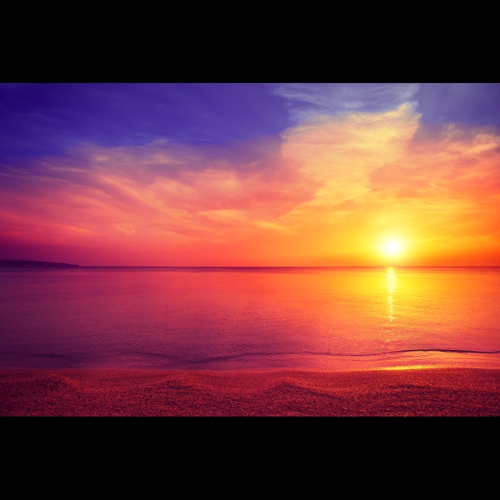 Meet your Posher, Marnie